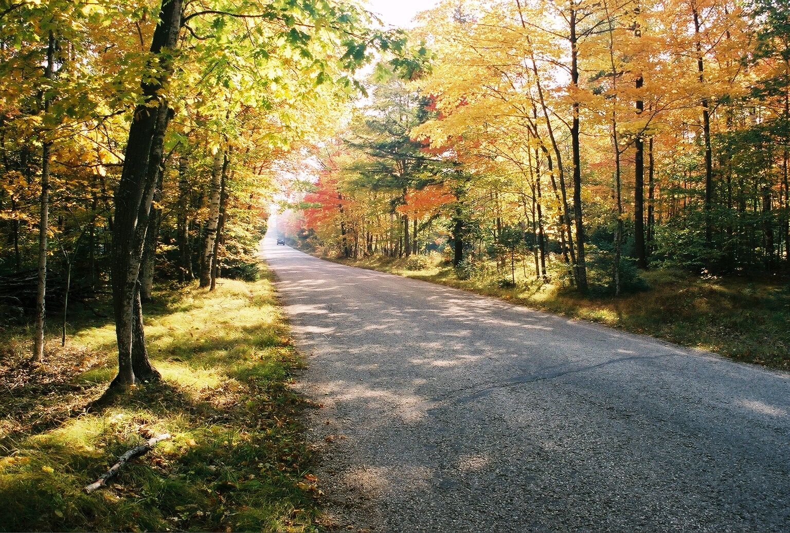 October Saturday
